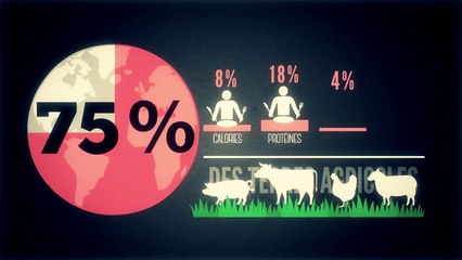 Data Gueule Saison 4 - Quand la boucherie, le monde pleure (EN)