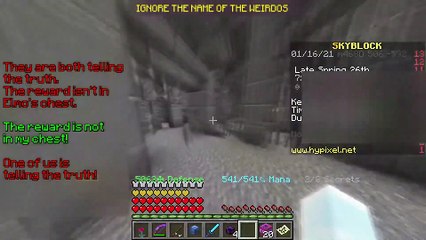 Guide, three weirdos puzzle room 1 - Hypixel's skyblock dungeons, Minecraft