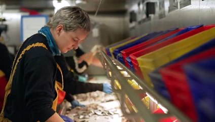 Fischereierhebungen: Die Wissenschaft hinter den Fangquoten