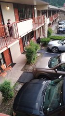 Gatlinburg Bear Walks Right Behind Woman