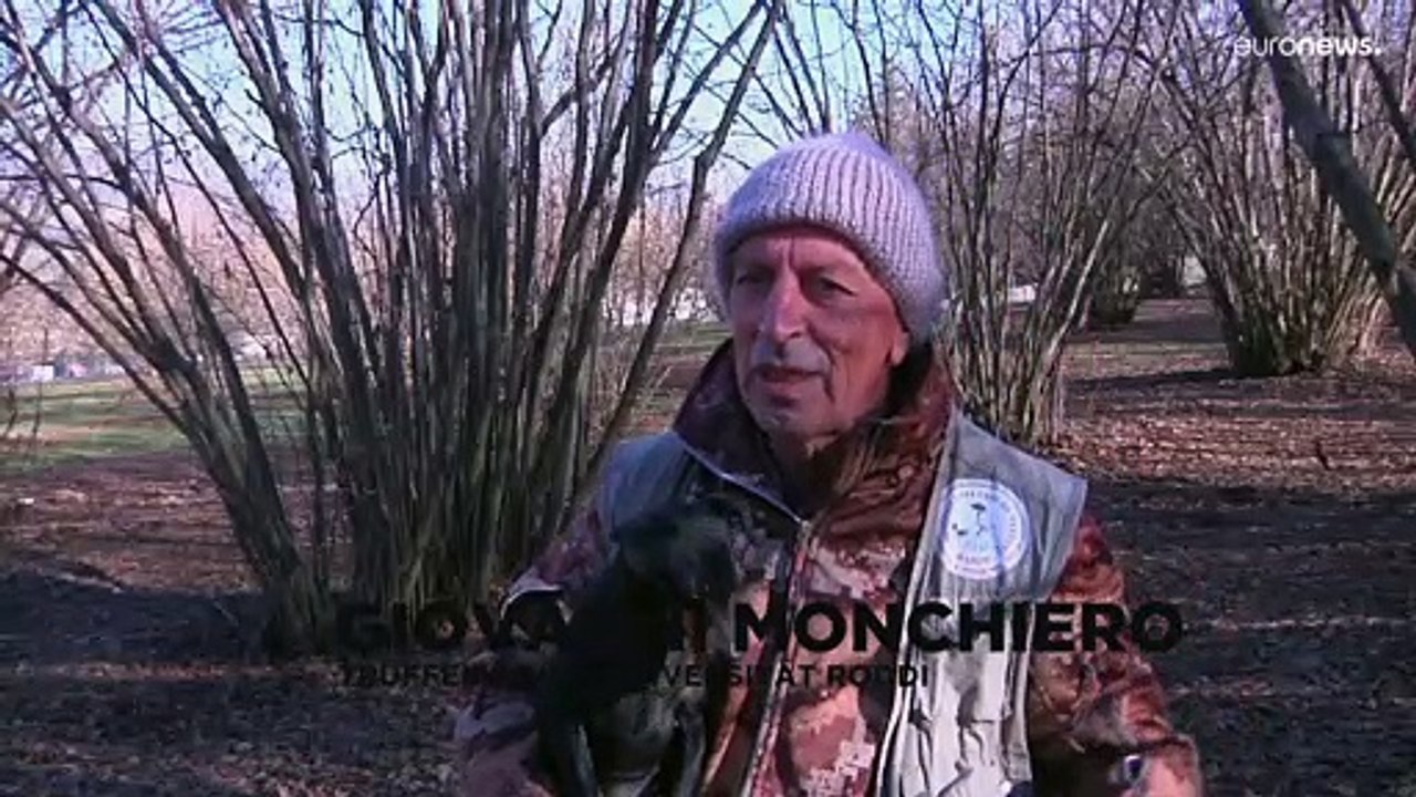 Wo der Trüffel auf den Hund kommt