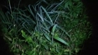 Ghost,This ghost is thrown into the bush,Ghost hunting,Funny  ghost,Helm putih vs Ghost pocong,Sang Pemburu Malam part-5