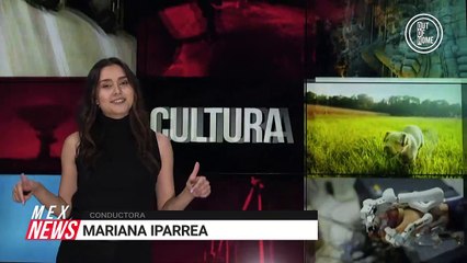 ¿ÓMICRON PODRÍA SER EL FINAL DE LA PANDEMIA EN EUROPA?