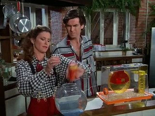 Remington Steele S04E21 Steele Alive And Kicking