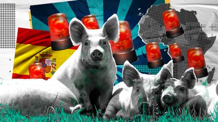 PSOE se revuelve contra el campo y vincula las pandemias a la agricultura y ganadería intensivas