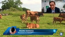 Pedro Barato: Campo español tiene muchos problemas, salario mínimo y reformas, exigencias para producir