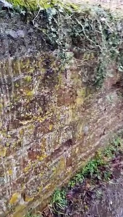 Newington wall collapsing