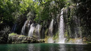 Waterfall at the forest