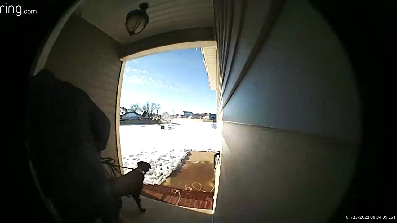 Porch Slip with Pup
