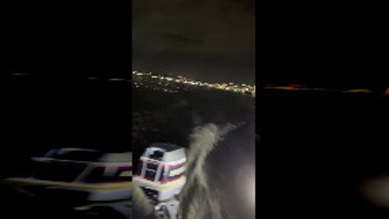 Sea Lion Follows for Snack