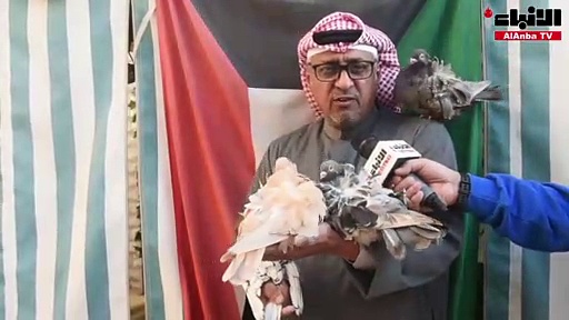 بونواف لـ «الأنباء»:  أغلى حمامة بعتها بـ 2000 دينار.. و«بوسي» الأعلى سعراً في تاريخ الكويت