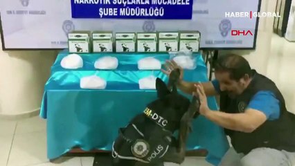 Emniyet Müdürlüğü duyurdu: Alfa hayatını kaybetti