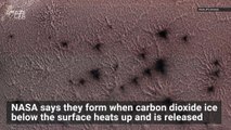 What Are These Weird Looking ‘Spider Formations’ That Were Spotted on Mars?