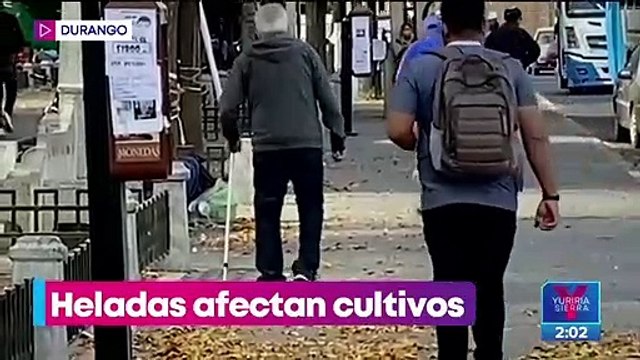 Heladas azotan al sur de Durango; habitantes piden ayuda