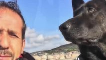Son dakika... Kocaeli Emniyet Müdürlüğü ölen emekli narkotik köpeği için klip paylaştı