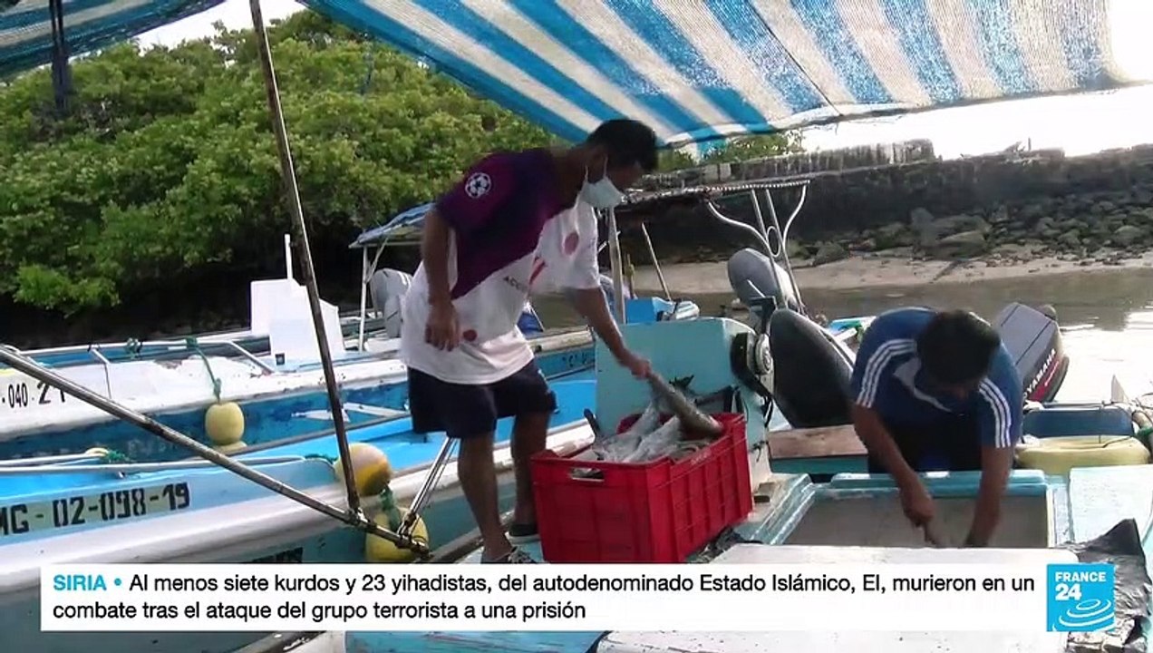 Ecuador: oficializan nueva zona de preservación de especies en Galápagos