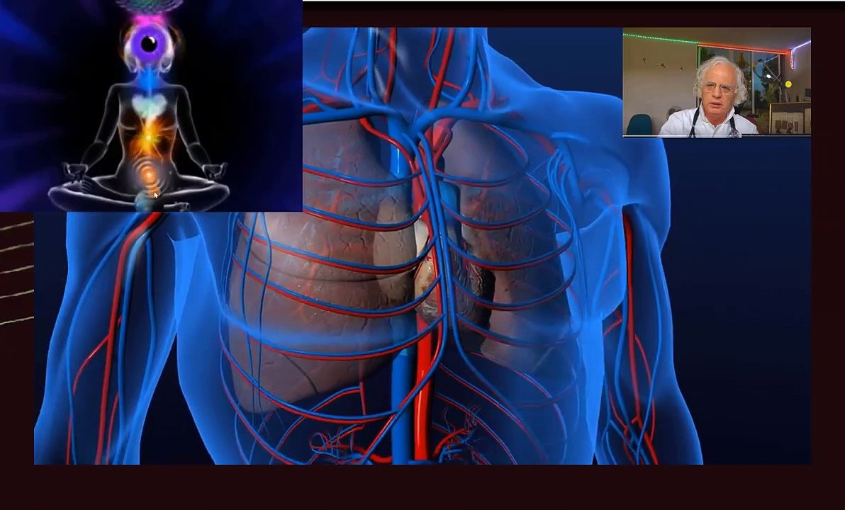 254. AURA.CHAKRA.MEDECINE ENERGIE MYSTERES DU SANG. BRACELET CONNECTES REGENERER PAR LA TRANS (2)