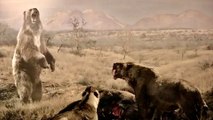 Evolution of Bears From Prehistoric Times - Full Documentary