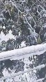 Snow fall ||kashmir ki snowfall||mari snowfall||barfbari