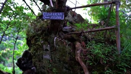 CURUG TILU LEUWI OPAT 2020 - Wisata Bandung - Natural Landscape Video