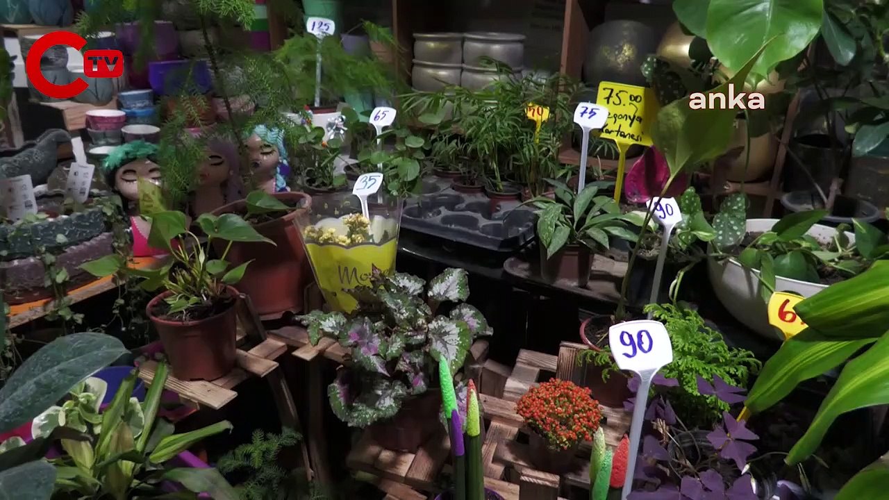 Kriz onları da vurdu... İzmirli çiçekçi: "3-4 aydır düzgün siftah yapamıyorum