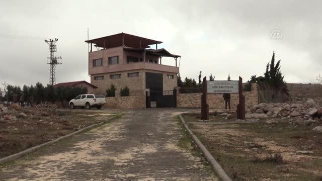 Gazella gazella ceylanı sayısında artış