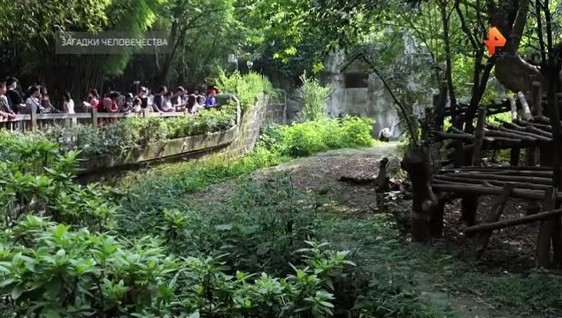 Загадки человечества (26.01.2022)