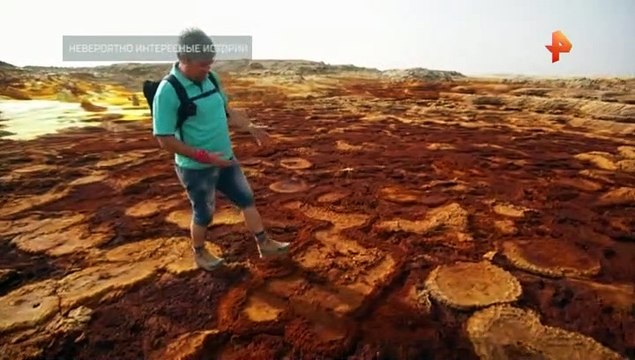 Невероятно интересные истории (26.01.2022)