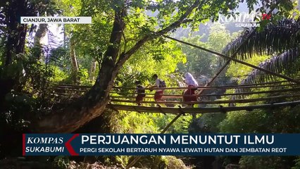 Pergi Sekolah Bertaruh Nyawa Lewati Hutan Dan Jembatan Reot