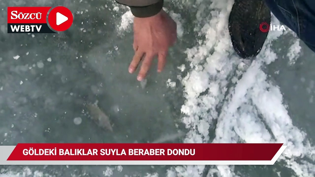 Göldeki balıklar suyla beraber dondu