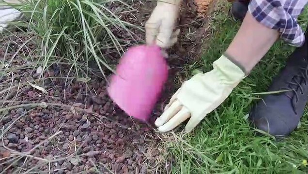 DIY Jardin - Délimiter les massifs par une bordure