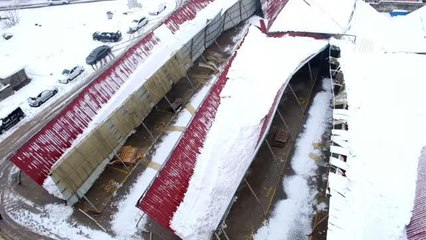 Kar yağışı ve sis hayatı olumsuz etkiledi