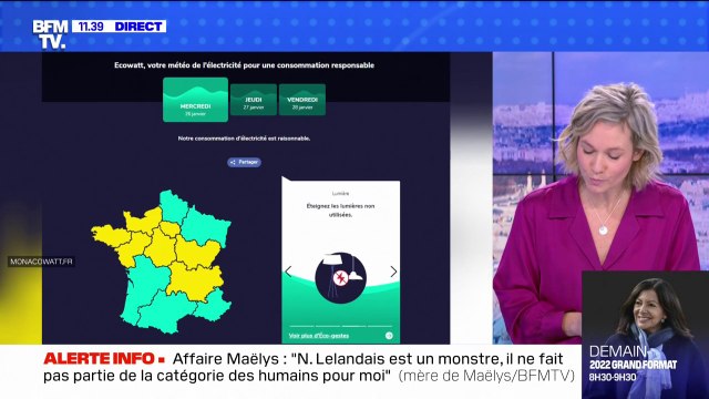 Électricité: qu'est ce que le signal jaune ? BFMTV répond à vos questions