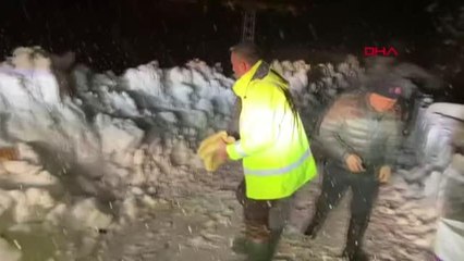 GAZİANTEP'TE, HAYVANLAR İÇİN ARAZİYE YEM BIRAKILDI