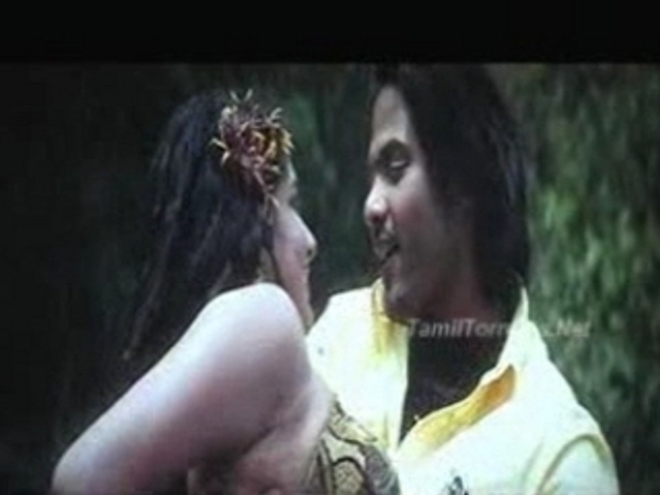 Thotta 4_shiningstar