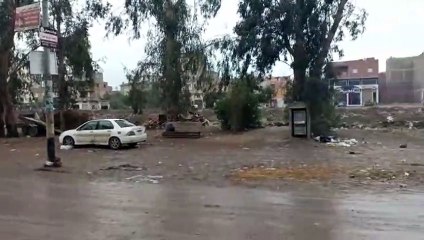 برودة شديدة وأمطار متوسطة علي الدقهلية