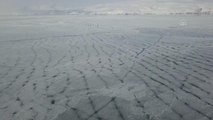 Yüzeyi buz tutan Nazik Gölü'nde kıyıya vuran balıklar dondu
