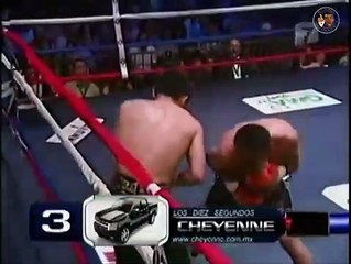 Brian Viloria Vs Julio Cesar Miranda [2011-07-16]