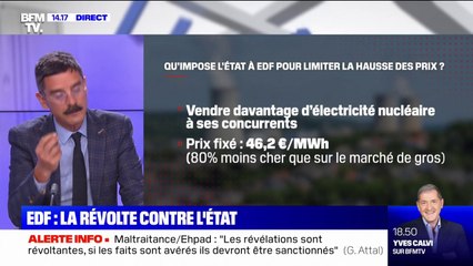Les syndicats d'EDF vent debout contre une décision de l'Etat qui réduirait la rentabilité du groupe