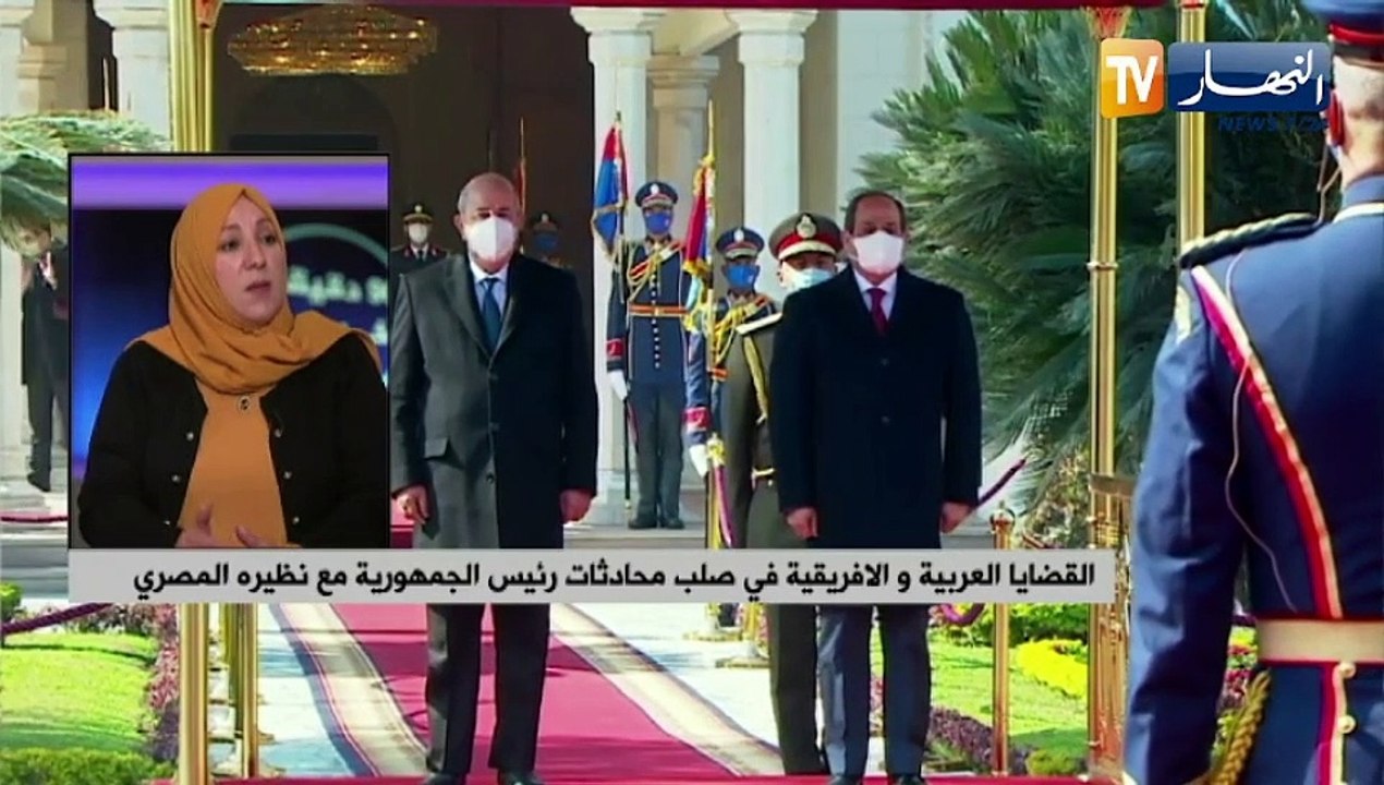 القضايا العربية والإفريقية في صلب محادثات رئيس الجمهورية مع نظيره المصري