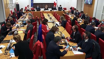 Thomas Rudigoz (LaREM) s'oppose au principe du vote par correspondance - 26/01/2022