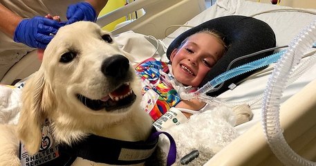 Une petite fille paralysée et sa famille adoptent leur chienne d'assistance