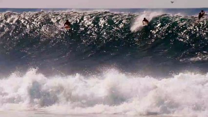 Whale Celebrates Perfect Wave at Banzai Pipeline