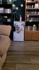 Service Dog Retrieving Water Glitches Out