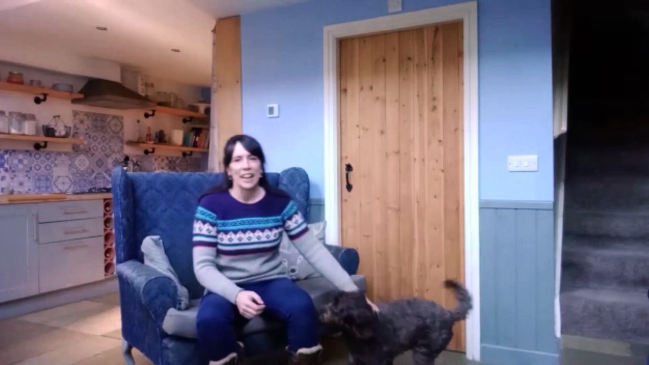 HOW TO STOP YOUR PUPPY OR DOG NIPPING