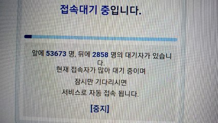 손실보상 선지급 약정 사이트에 수만 명 접속 폭주...오류 발생 / YTN
