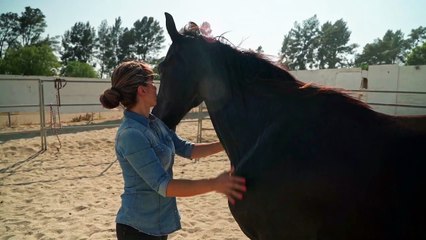 pexels-rodnae-productions-8625308