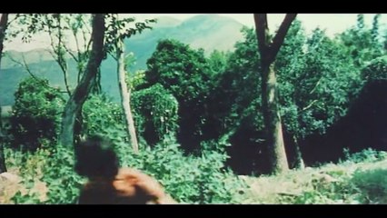 Ninja, le forcené du karaté - Film complet en français