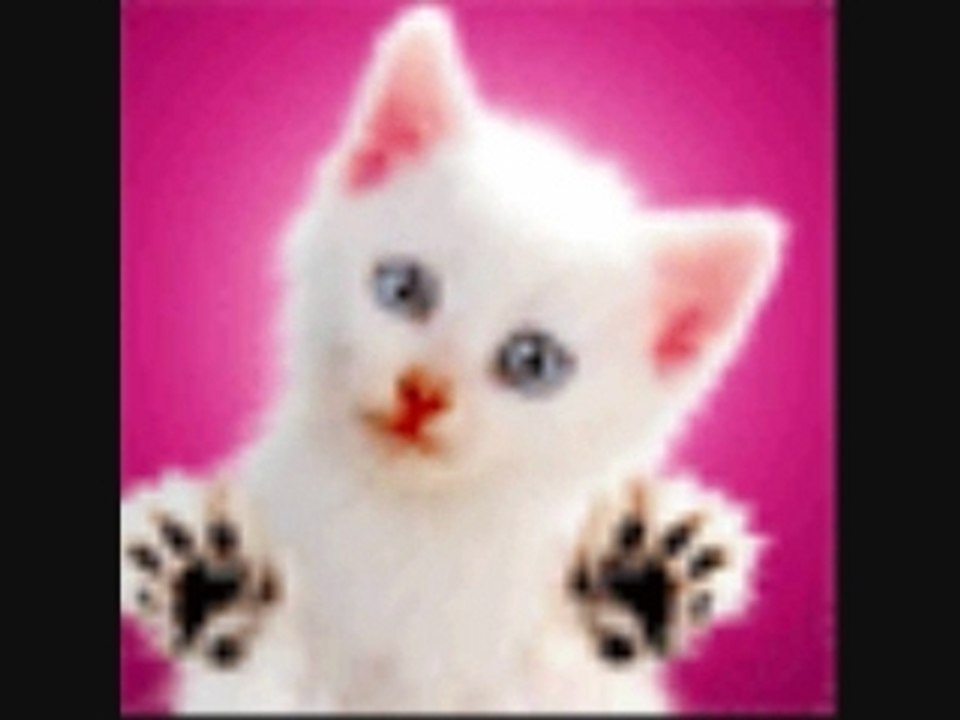 Mai ange joyeux noel 2008