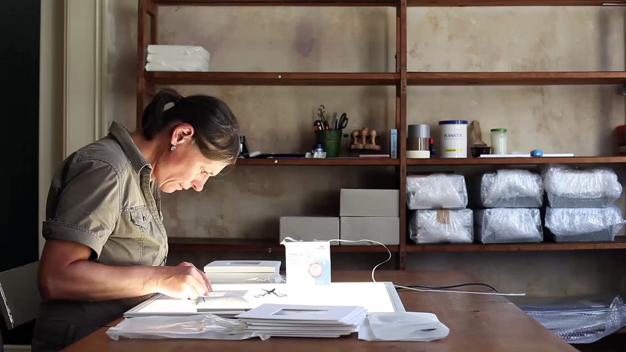 Die Ordnung der Dinge